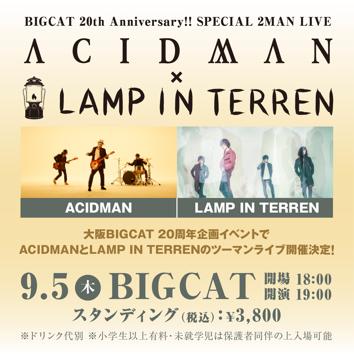 修正ACID_LAMP_web_pic