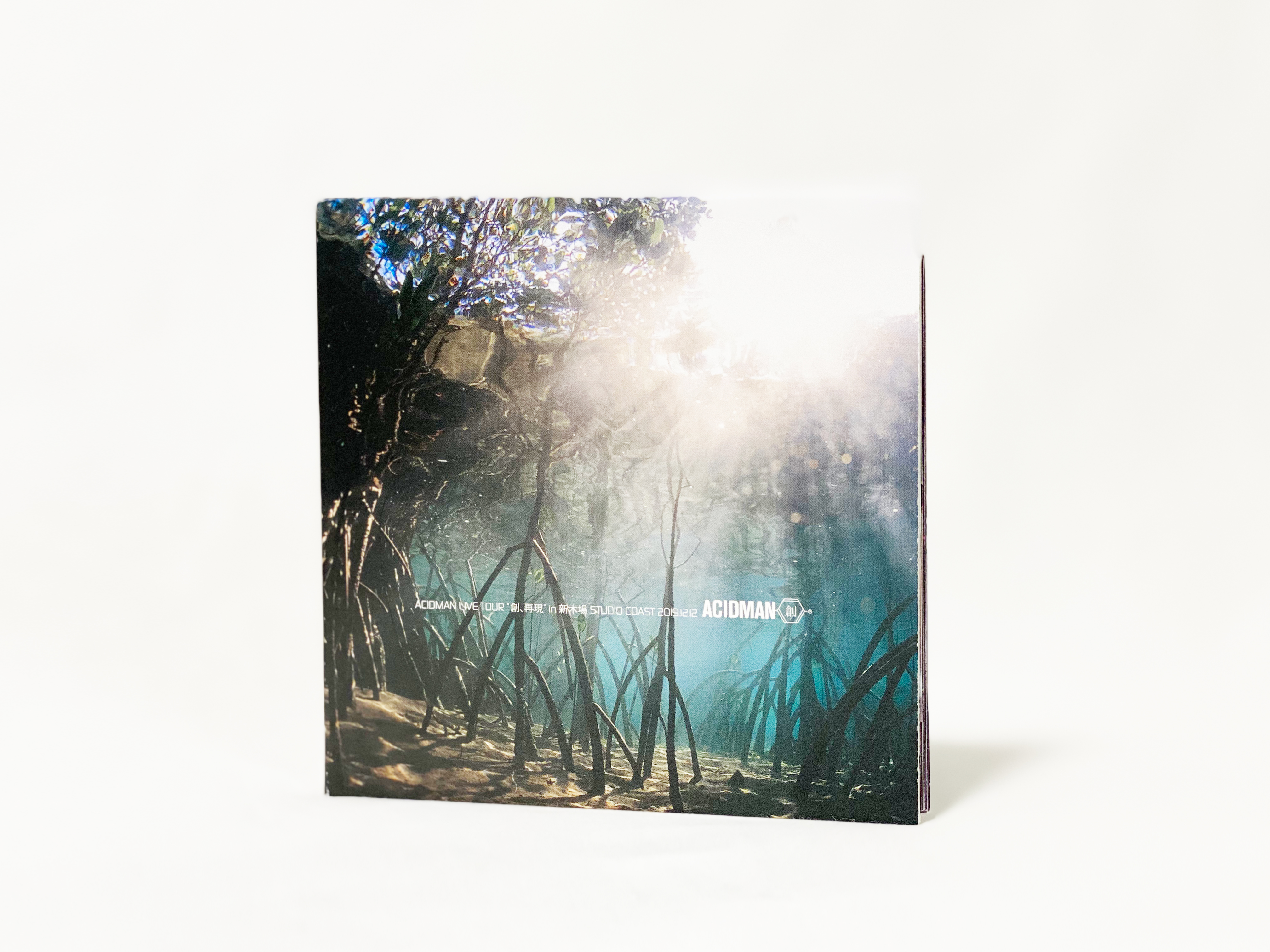 ACIDMANR_ESO2019_01